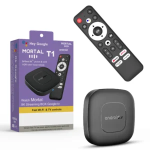 Android16 תיאטרון בית חכם TV קופסה AllwinnerH313 עם עוזר גוגל סטרימינג Netflix Bluetooth שחקן מדיה 2G16G Wifi T1